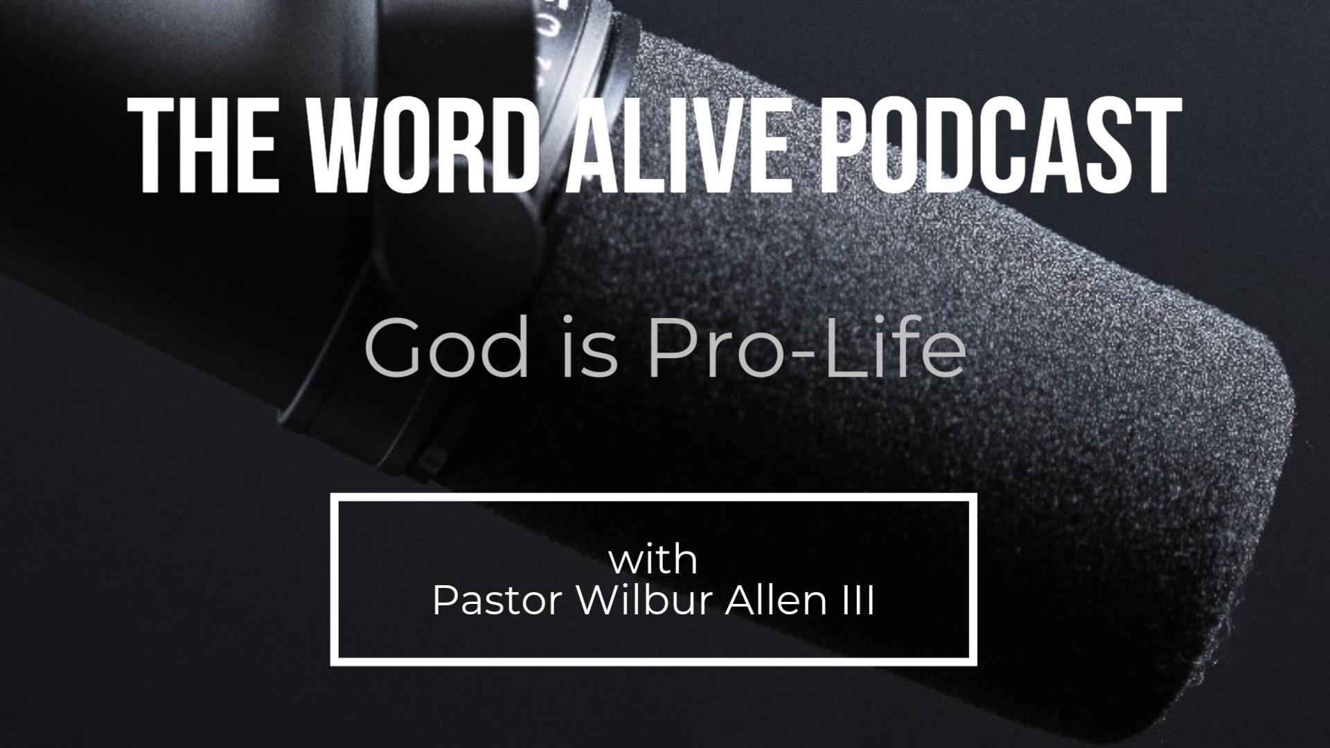 Word Alive Podcast - God is Pro-Life